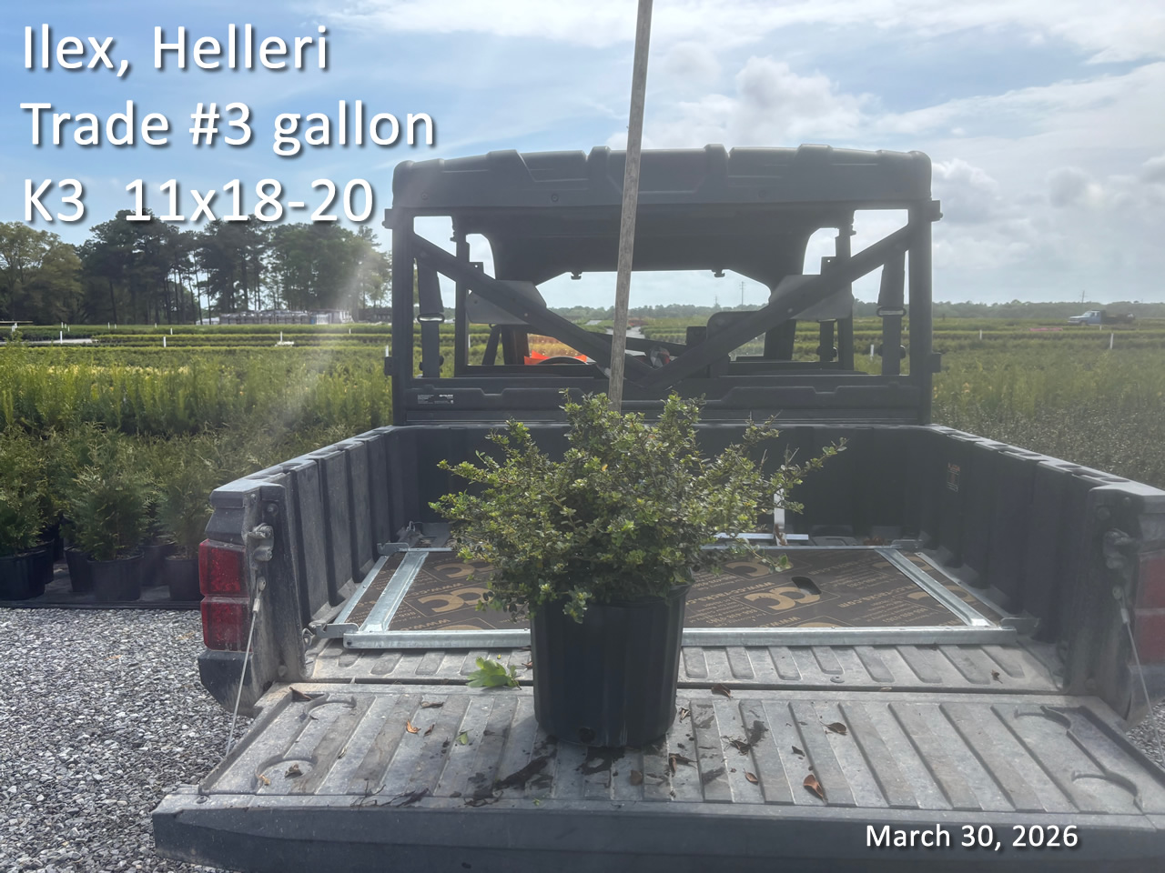 gallery/hell3t k3 mar30.jpg